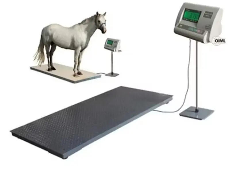 Live Animal Weighing System